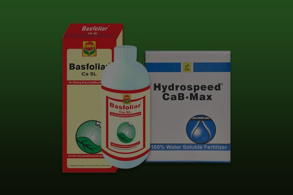 Calcium Rich Fertilizers